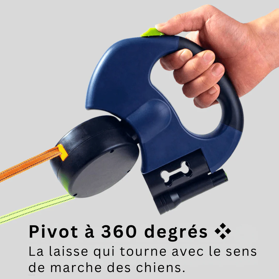 Système de laisse confortable pour promener deux chiens - Image 3